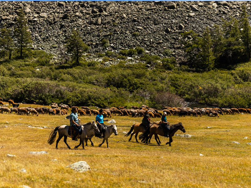 Horse riding tour