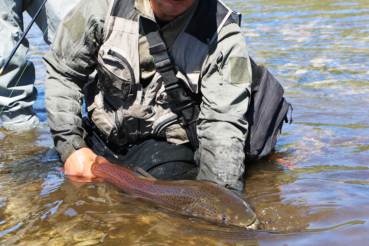 Taimen Fishing Expedition in Mongolia